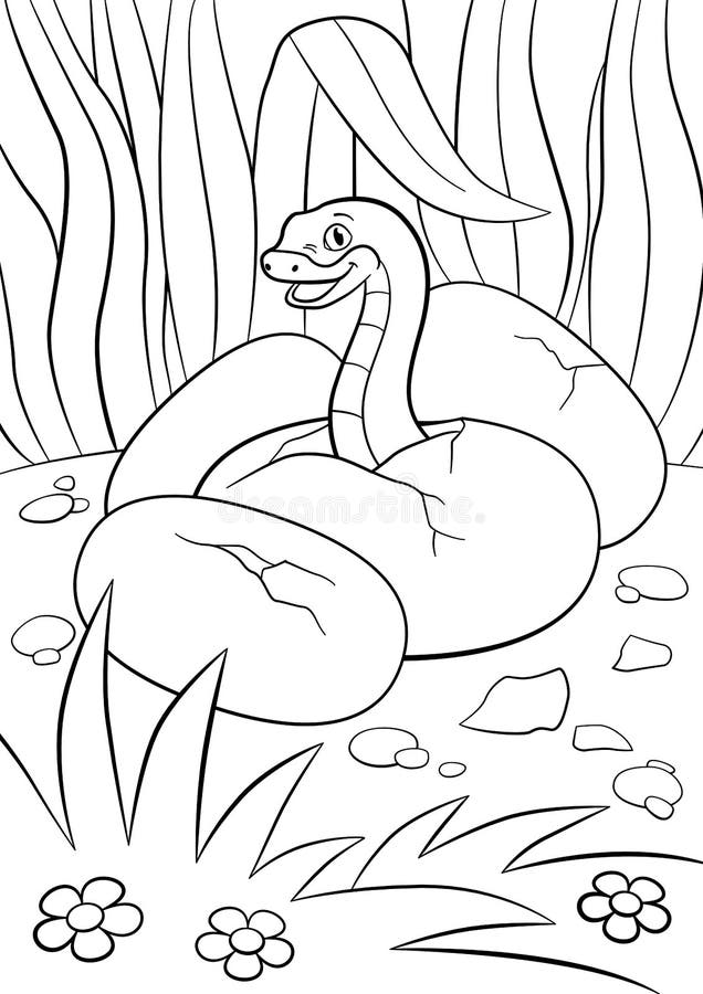 Coloring pages. Little cute baby viper sits in the egg. Coloring pages. Little cute baby viper sits in the egg