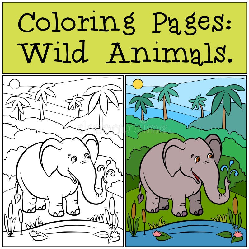 Free Watercolor Adult Coloring Book Printable Sheets - Woodland Forest  Animals Part 1 (Fox, Bear, Squirrel, Badger)