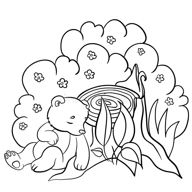 Coloring pages. Wild animals. Little cute baby bear sleeps in the forest. Coloring pages. Wild animals. Little cute baby bear sleeps in the forest.