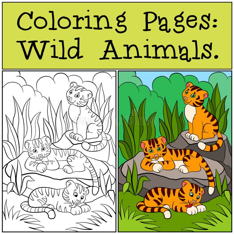 Coloring Pages: Wild Animals. Little cute baby tigers smiles.