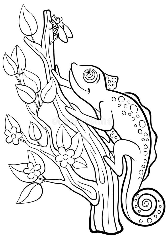 Coloring Pages. Wild Animals. Little Cute Chameleon. Stock Illustration -  Illustration of colorful, cute: 72425009