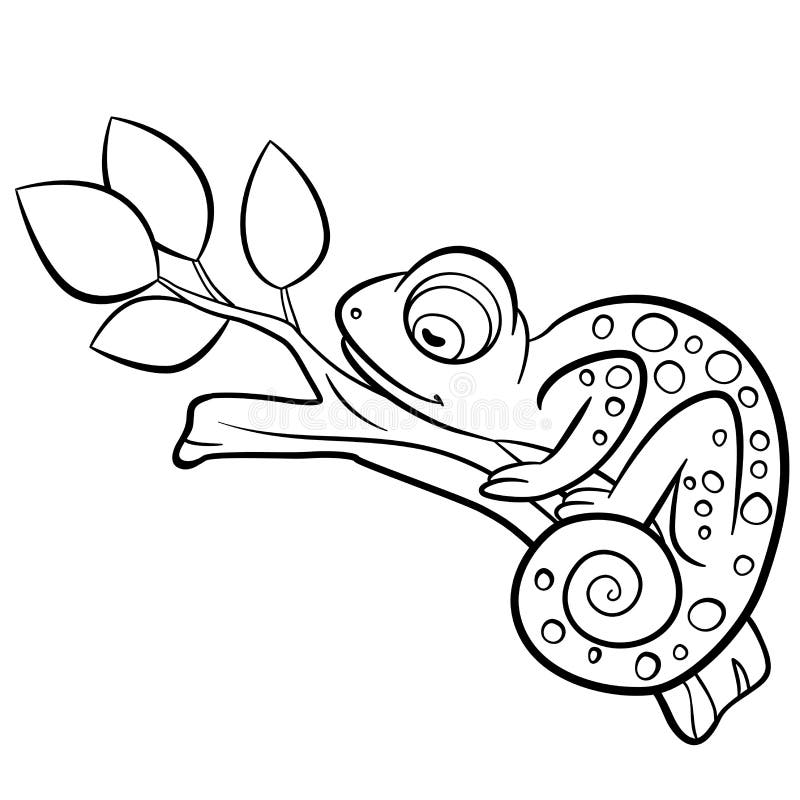 Coloring Pages. Wild Animals. Little Cute Chameleon. Stock Illustration - Illustration of camouflage, animal: 72425049 Coloring Pages. Wild Animals. Little Cute Chameleon. Stock Illustration - Illustration of camouflage, animal: 72425049