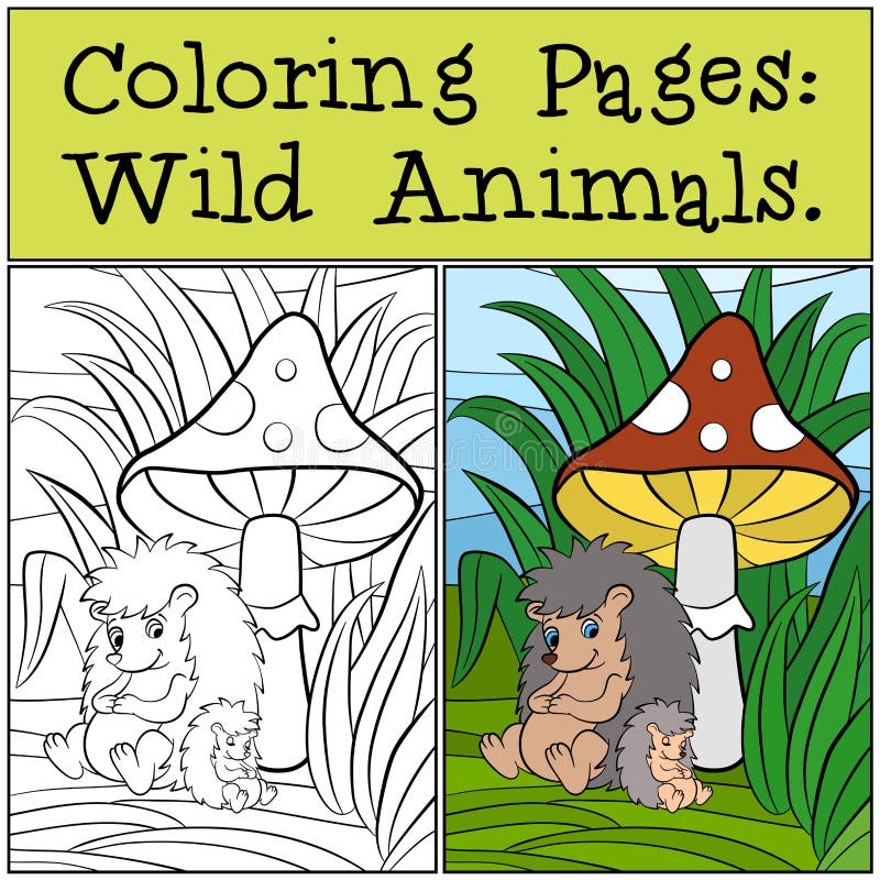 Coloring Pages: Wild Animals. Mother hedgehog with her little cute baby hedgehog sits near the toadstool. Coloring Pages: Wild Animals. Mother hedgehog with her little cute baby hedgehog sits near the toadstool.