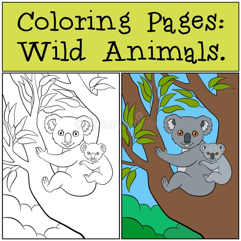 Coloring Pages: Wild Animals. Mother koala sits on the tree branch with her little cute baby and smiles. Coloring Pages: Wild Animals. Mother koala sits on the tree branch with her little cute baby and smiles.