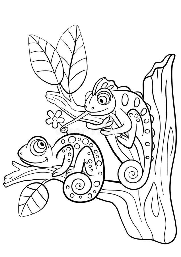 Coloring Pages. Wild Animals. Two Little Cute Chameleon. Stock Vector - Illustration of game, jungle: 72190256 Coloring Pages. Wild Animals. Two Little Cute Chameleon. Stock Vector - Illustration of game, jungle: 72190256