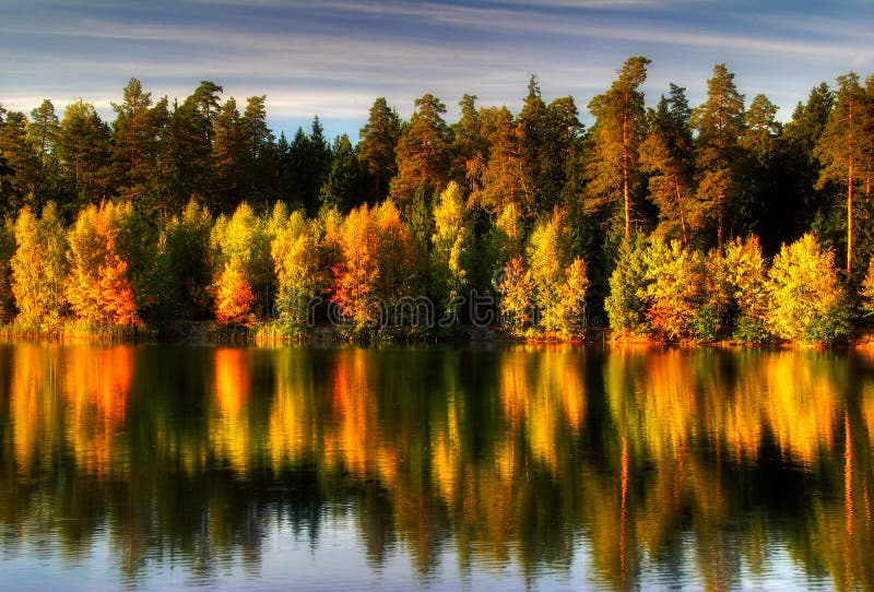 The colors of autumn stock photo. Image of autumn, season - 3432850