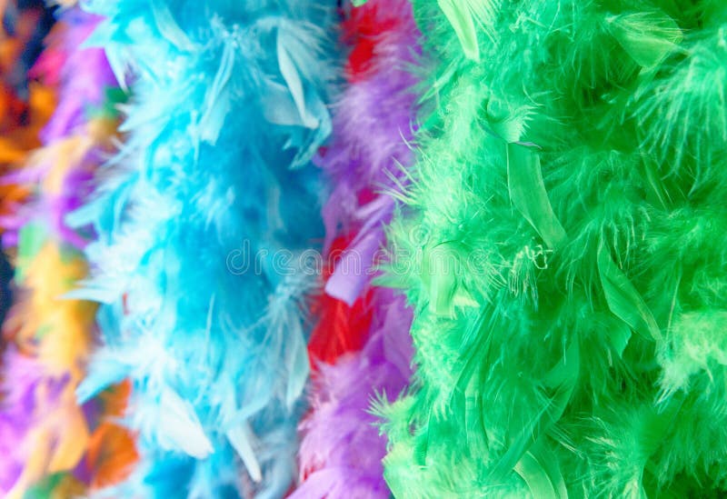 Colors of Mardi Gras in New Orleans royalty free stock image Colors of Mardi Gras in New Orleans royalty free stock image