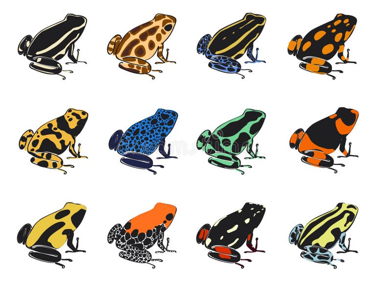 Poison Dart Frog Stock Illustrations – 927 Poison Dart Frog Stock