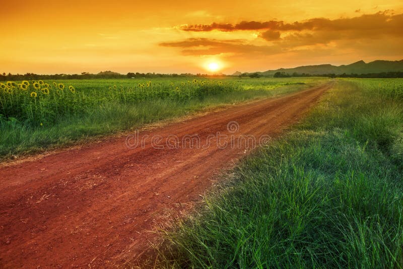 Coloré du ciel de coucher du soleil dans le domaine rural de la Thaïlande images stock Coloré du ciel de coucher du soleil dans le domaine rural de la Thaïlande images stock