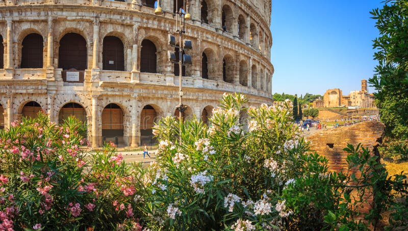 230 Colosseum Flowers Stock Photos - Free & Royalty-Free Stock Photos ...