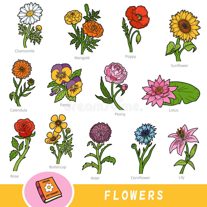 Featured image of post Flowers Drawing For Kids With Name - If you&#039;re looking for flower baby names for boys and girls, we&#039;ve got a list of the cutest ones, plus the meanings behind them.