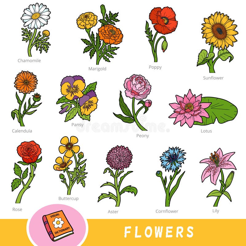 Flowers Plants Names Stock Illustrations 19 Flowers Plants Names Stock Illustrations Vectors Clipart Dreamstime flowers plants names stock