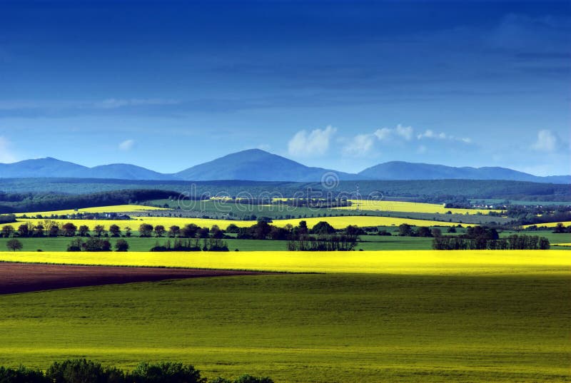 The coloured fields