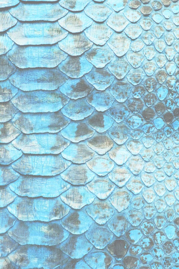 Coloured Real Snake Skin Snakeskin Animal Print Background Stock Photo