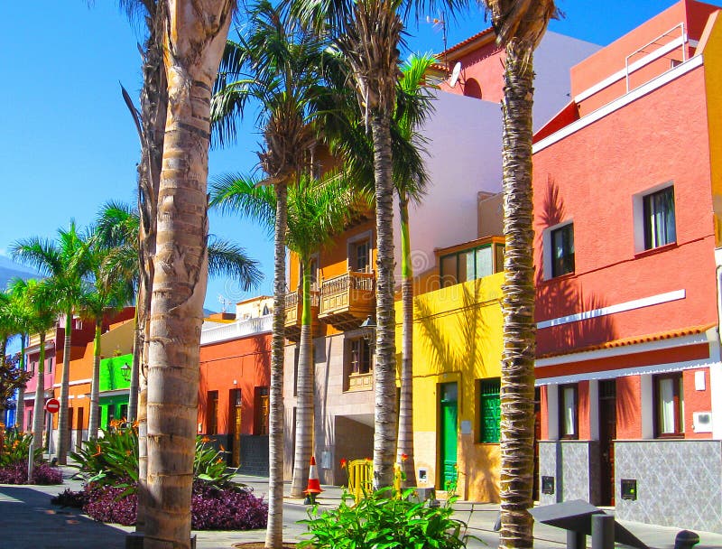 Colourful drzewka palmowe na ulicie w Puerto De La Cruz miasteczku i domy, Tenerife, wyspy kanaryjska, Hiszpania Widok wulkan Tei fotografia royalty free Colourful drzewka palmowe na ulicie w Puerto De La Cruz miasteczku i domy, Tenerife, wyspy kanaryjska, Hiszpania Widok wulkan Tei fotografia royalty free