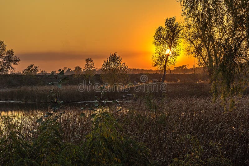 Colourful Evening At The Sunset Over The City Stock Image - Image of