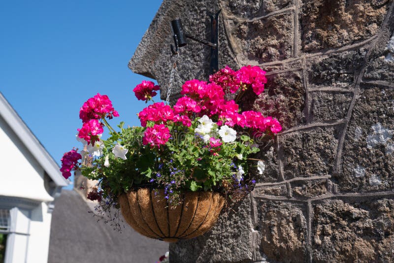 Colourful Flowers Chagford Dartmoor Devon in Summer Stock Photo - Image ...