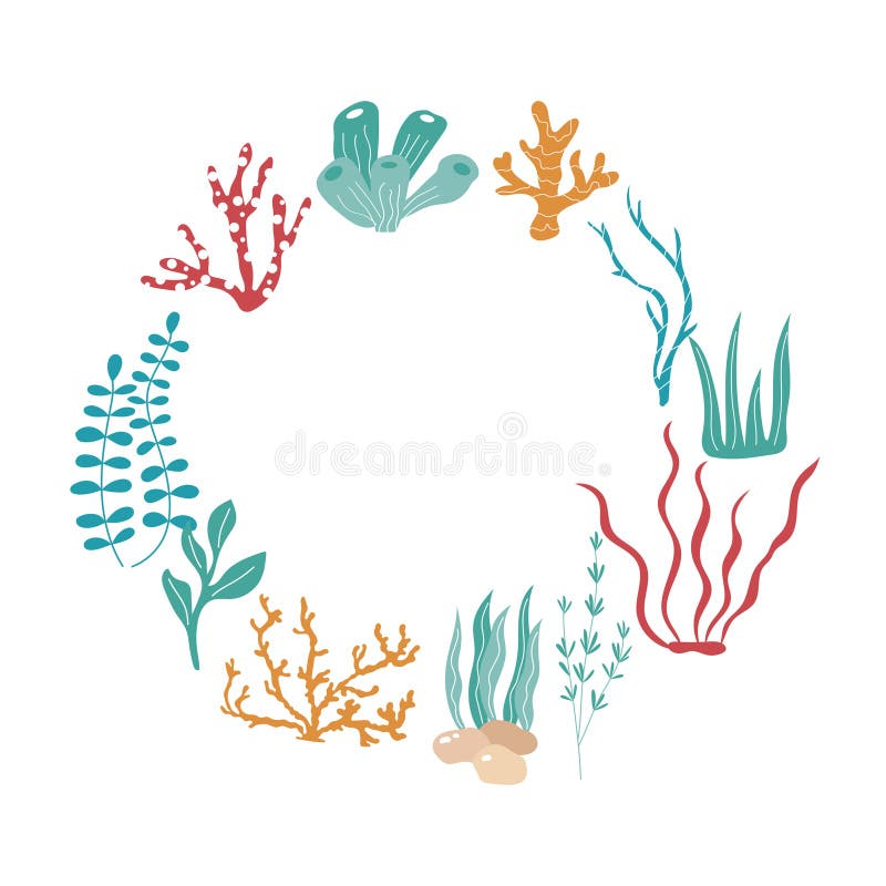 Seaweed Handdrawn Stock Illustrations – 965 Seaweed Handdrawn Stock  Illustrations, Vectors & Clipart - Dreamstime