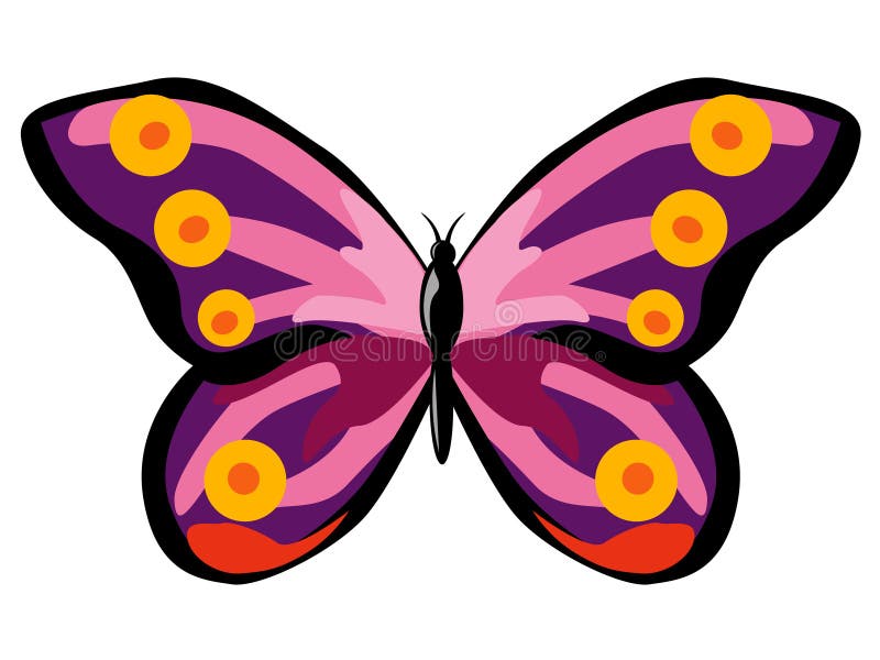 Colourful purple butterfly