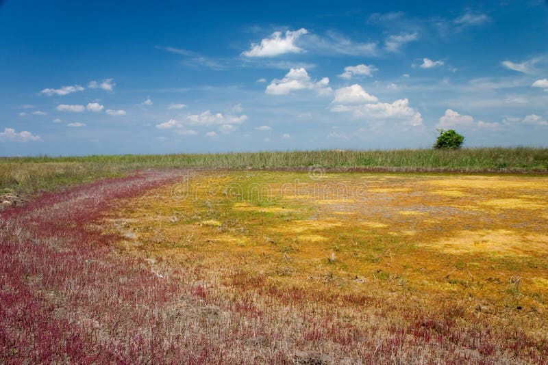 Colourful salt lake