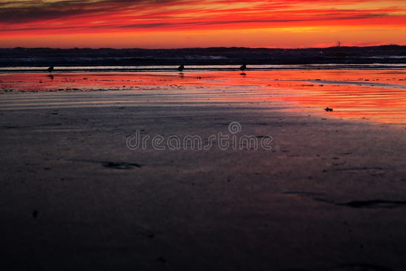 Colourful sunset over the beach at Polzeath