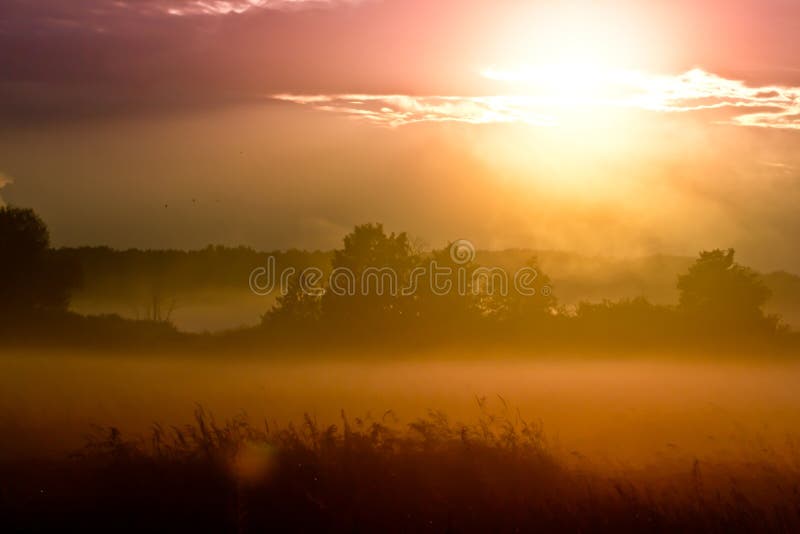 Colourful sunset