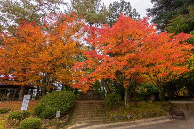 Colourful Trees in Shiroyama Park in Takayama Japan Editorial Stock ...