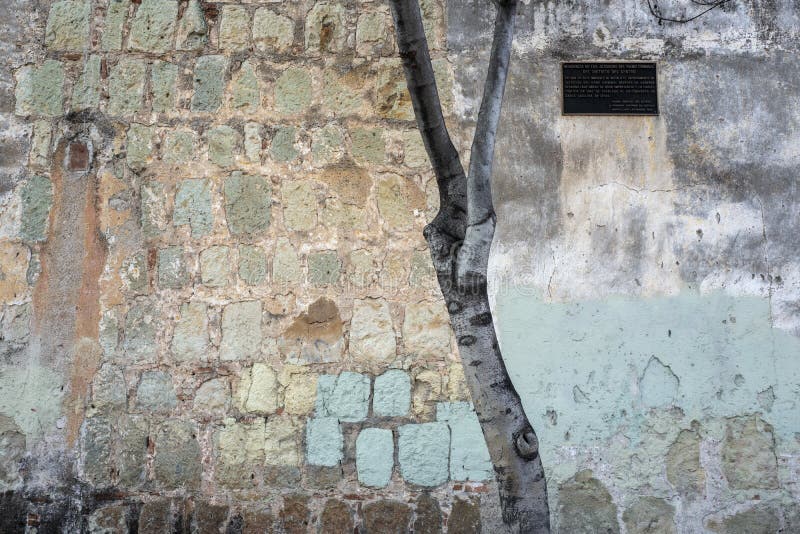 Colorful Oaxacan Blankets stock photo. Image of wool, happy - 4804716