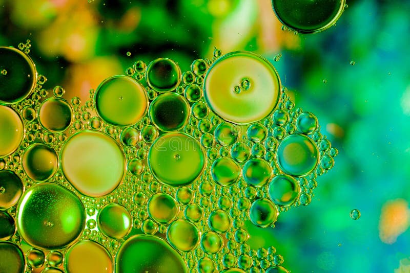 Colourful Water Oil Dishwashing Liquid Mix Stock Photo Image of packaging, poster 228516286