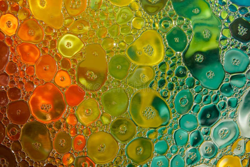 Colourful Water Oil Dishwashing Liquid Mix Stock Photo Image of print, package 228516378