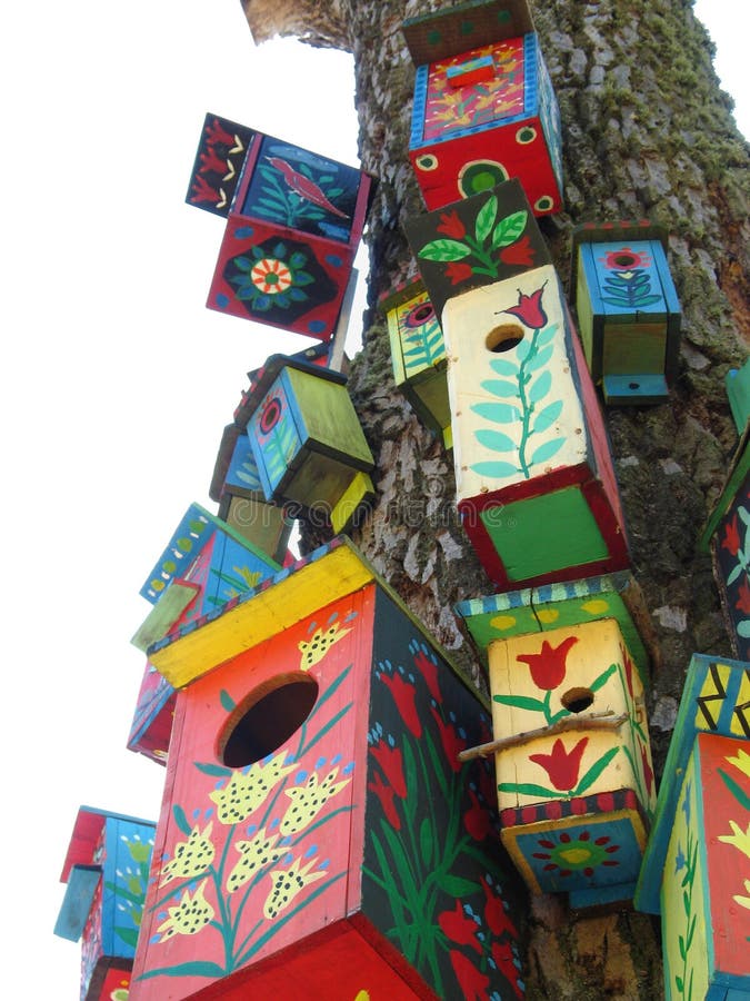 Colours bird boxes