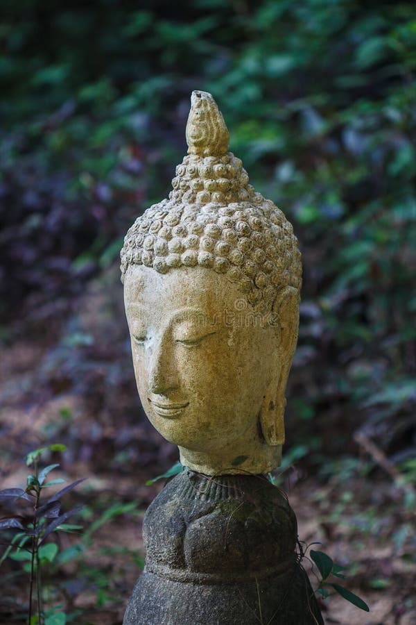 Colpo capo della statua di Buddha, Tailandia fotografie stock libere da diritti Colpo capo della statua di Buddha, Tailandia fotografie stock libere da diritti