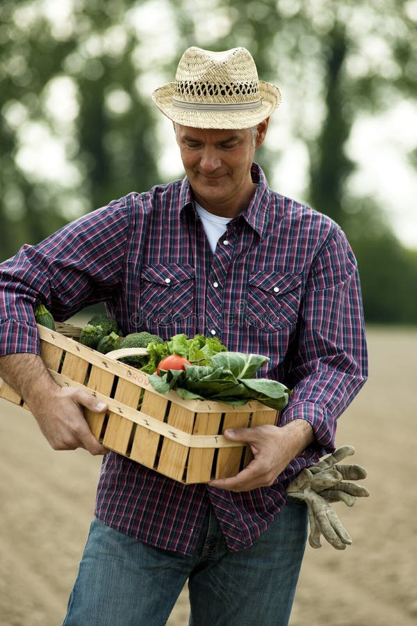 Farmer wearing a hat carrying a crate of vegetables. Farmer wearing a hat carrying a crate of vegetables