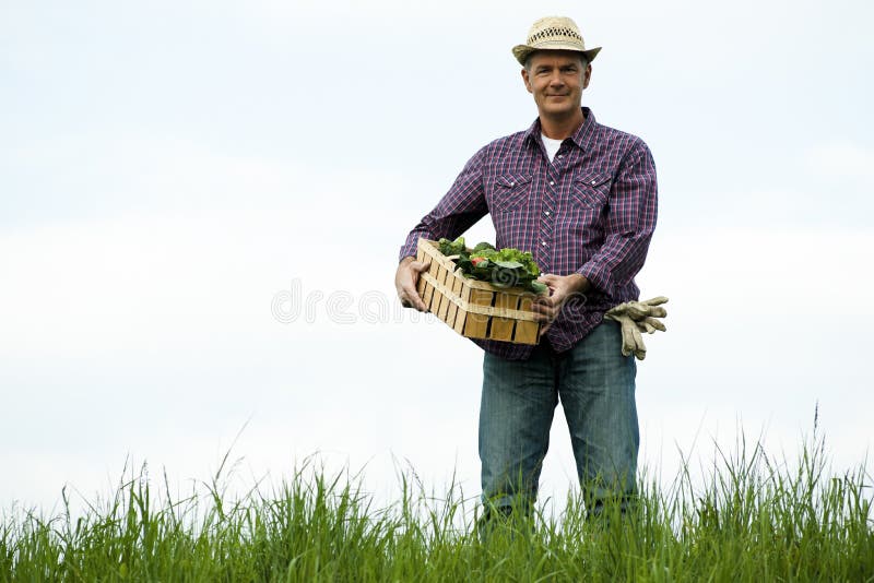 Farmer wearing a hat carrying a crate of vegetables. Farmer wearing a hat carrying a crate of vegetables