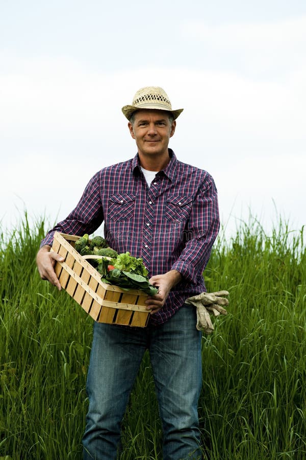 Farmer wearing a hat carrying a crate of vegetables. Farmer wearing a hat carrying a crate of vegetables