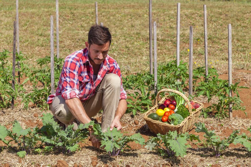 Organic farmer with fresh fruit and vegetables in garden. Organic farmer with fresh fruit and vegetables in garden