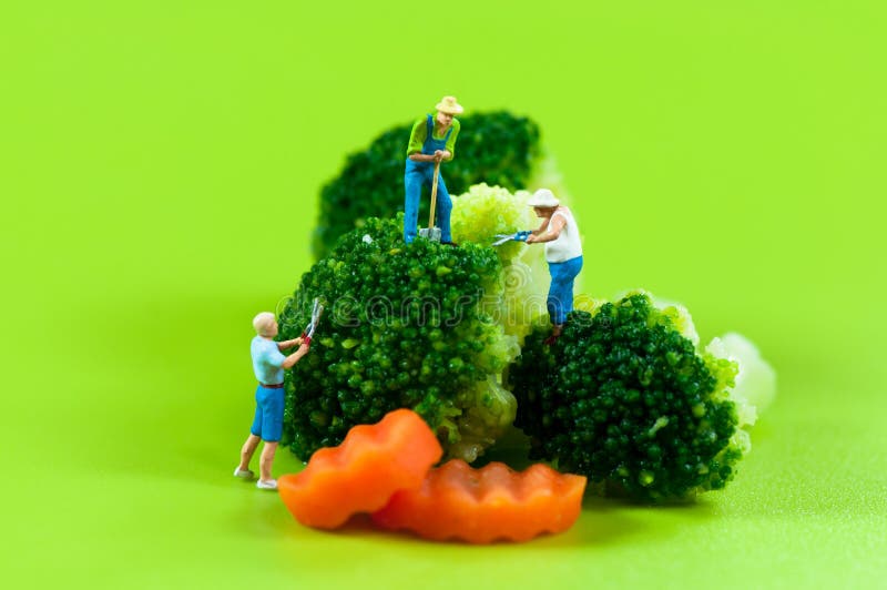 Figurine farmers harvesting giant broccoli. Figurine farmers harvesting giant broccoli