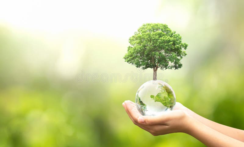 com a mão segurando uma bola de vidro com crescimento de árvores e fundo verde da natureza conceito ecológico