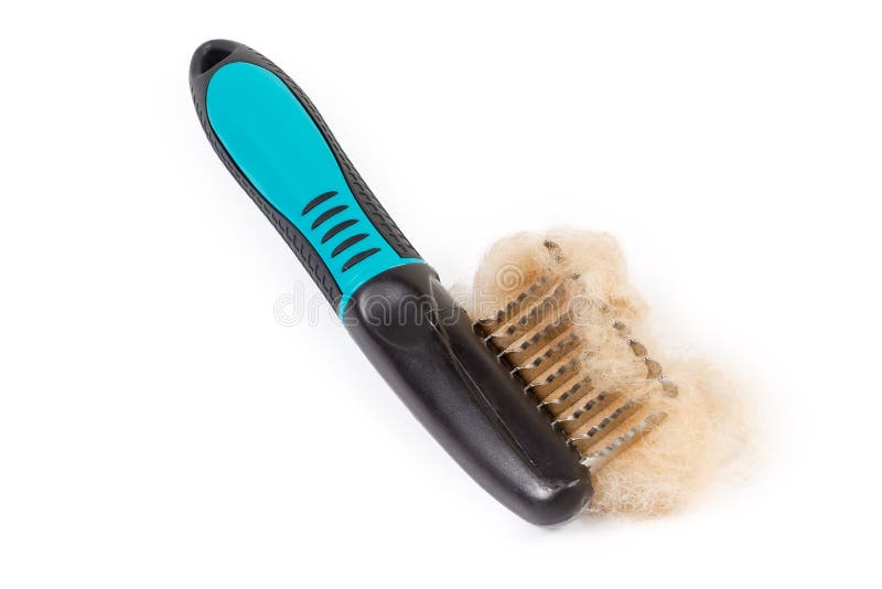 Comb for Remove Tangles of Pets Hair with Cat Hair Stock Photo Image