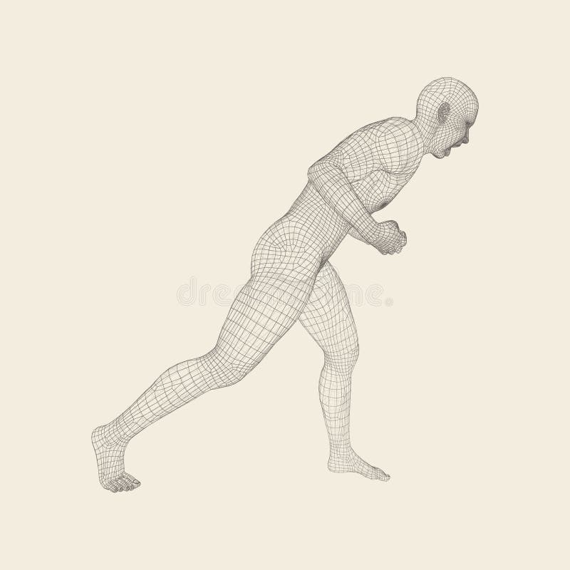 Combattente Sport Di Forma Fisica Bambini Cinesi Di Kongfu Modello 3d Dell Uomo Corpo Umano Mette In Mostra Il Simbolo Elemento D Illustrazione Vettoriale Illustrazione Di Arti Geometrico