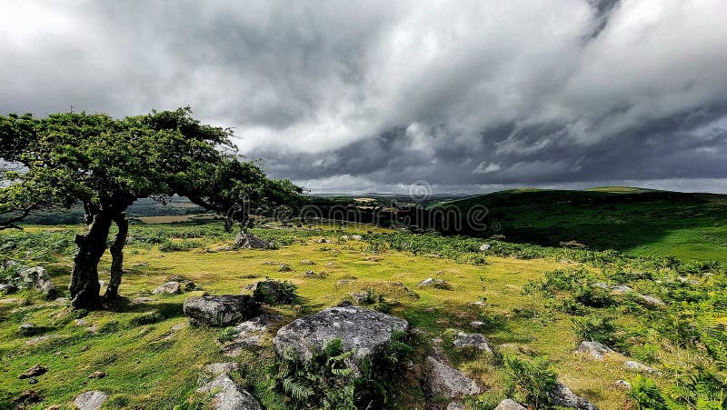 Combestone TorDARTMOOR NATIONAL PARK DEVON UK Comberstone Tor, Cumston Tor, Combeston Tor, Cumsdon Tor, Combstone Tor, Combstone Rock, This stunning tor, with long views of the River Dart, is also one of the most accessible on Dartmoor, having its own car park just a few metres away. The summit rocks present as an avenue with at least three distinct outcrops that stud the gentle spur of Cumston Tor Hill, on the far north-west flank of Holne Moor. The local pronunciation of the tor, hill and nearby farm is Cumston&. Combestone TorDARTMOOR NATIONAL PARK DEVON UK Comberstone Tor, Cumston Tor, Combeston Tor, Cumsdon Tor, Combstone Tor, Combstone Rock, This stunning tor, with long views of the River Dart, is also one of the most accessible on Dartmoor, having its own car park just a few metres away. The summit rocks present as an avenue with at least three distinct outcrops that stud the gentle spur of Cumston Tor Hill, on the far north-west flank of Holne Moor. The local pronunciation of the tor, hill and nearby farm is Cumston&