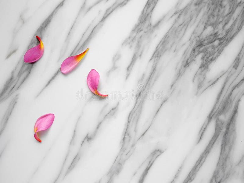 Combination of Spa Flowers and Petals for Relaxation Stock Photo