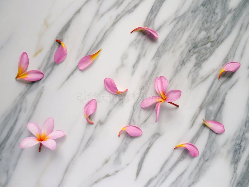 Combination of Spa Flowers and Petals for Relaxation Stock Photo