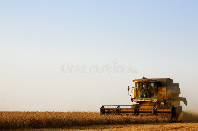 Combine harvester