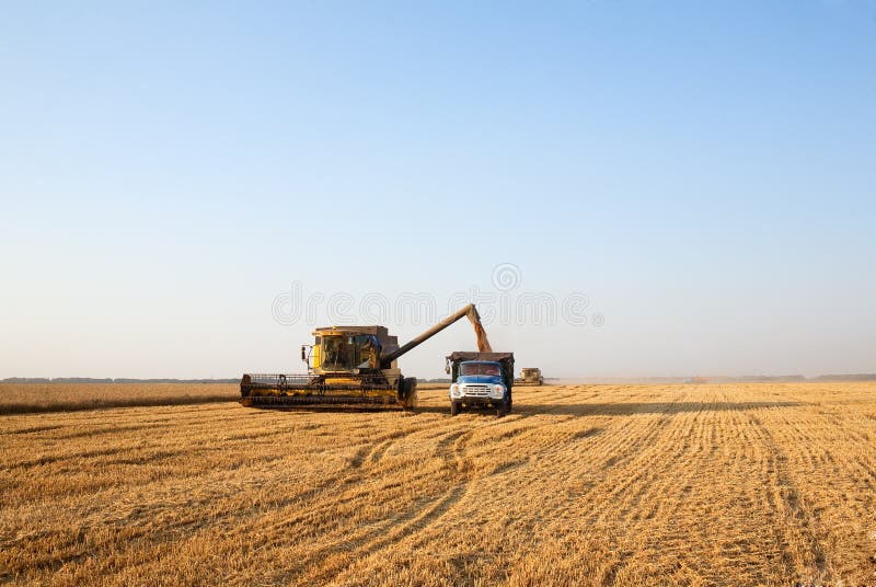 Combine harvester