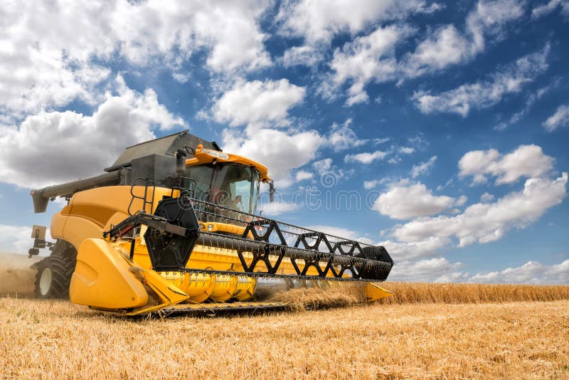 Combine harvester in action. stock photo