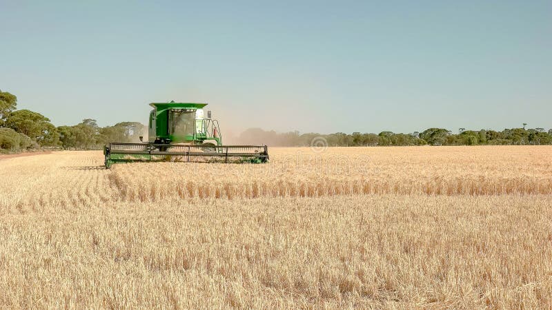 A combine harvester being used on a farm to harvest ripe barley approaches the camera royalty free stock photo