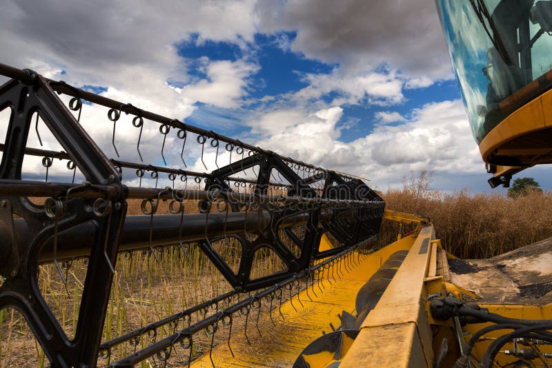 Combine Harvester Cutting Blades Stock Image Image of drum, business