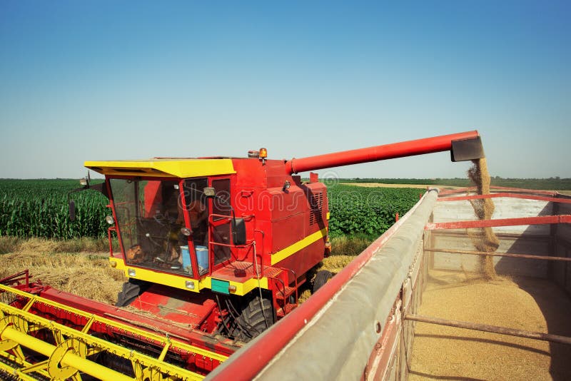 Combine harvester load wheat in the truck royalty free stock photography Combine harvester load wheat in the truck royalty free stock photography