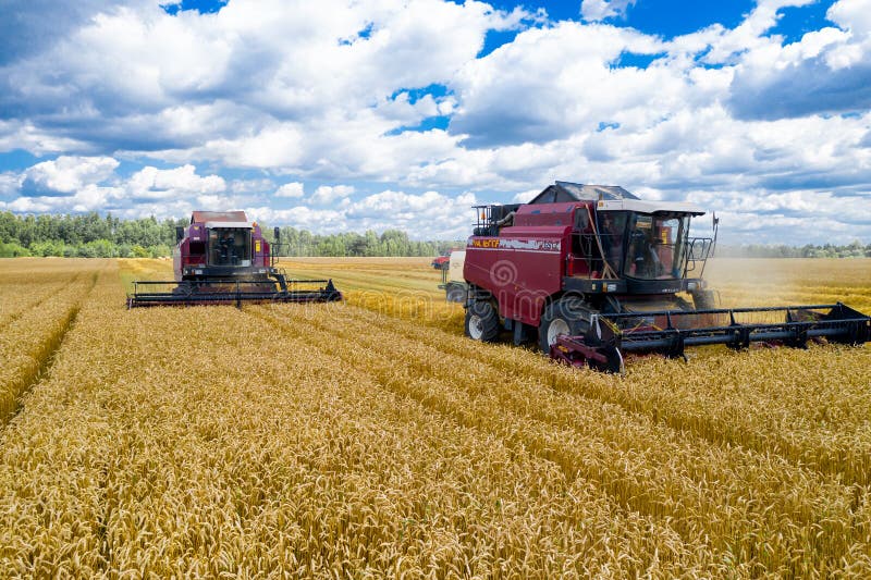 Combine harvesters reaping the grain royalty free stock images